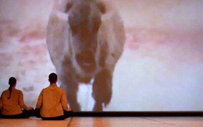 The winner of the Prospective Dance Theater 2023 Award is YoY Performing Arts