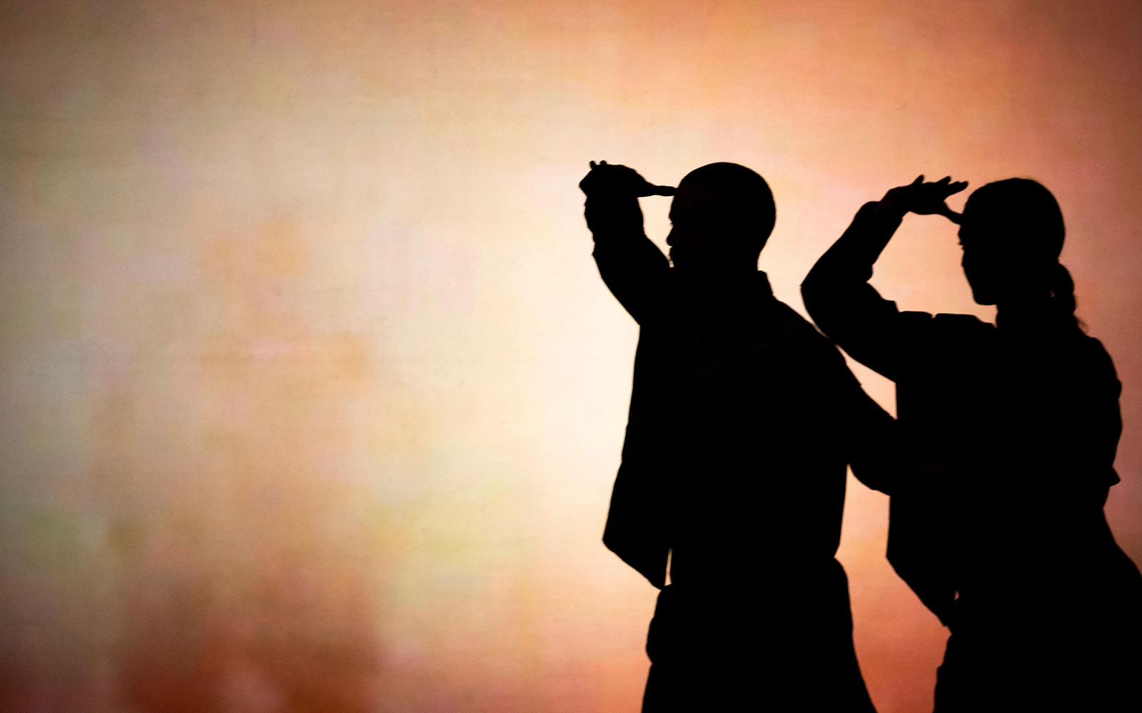 INESORABILMENTEUNAVIA